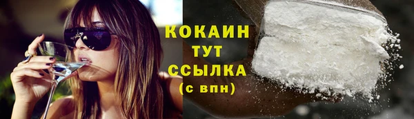 гидра Белокуриха