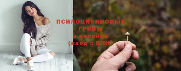 прущие крисы Беломорск