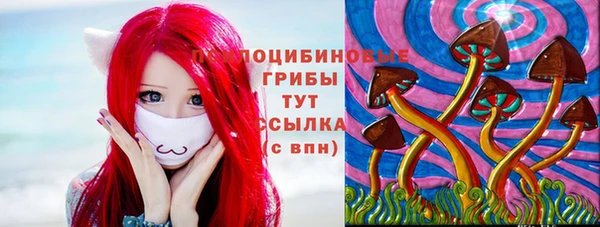 дурь Белоозёрский
