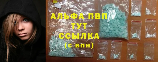 шишки Дмитров
