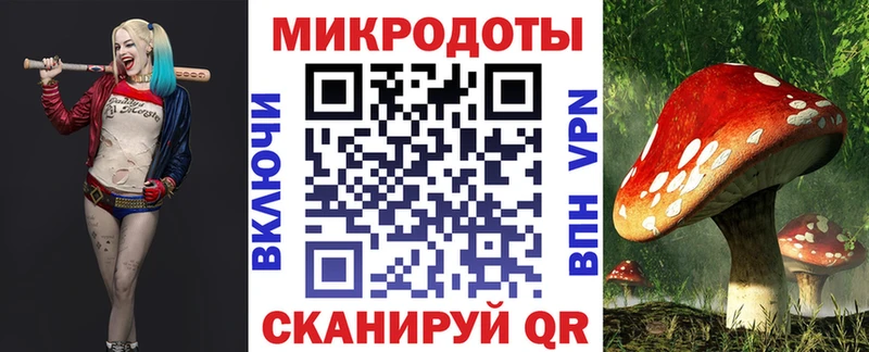 Псилоцибиновые грибы Psilocybine cubensis  shop как зайти  Беломорск  hydra вход 